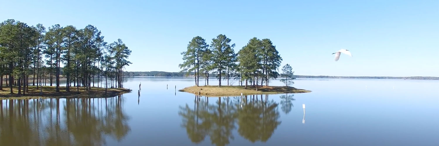 Property Search Vernon Parish Assessor