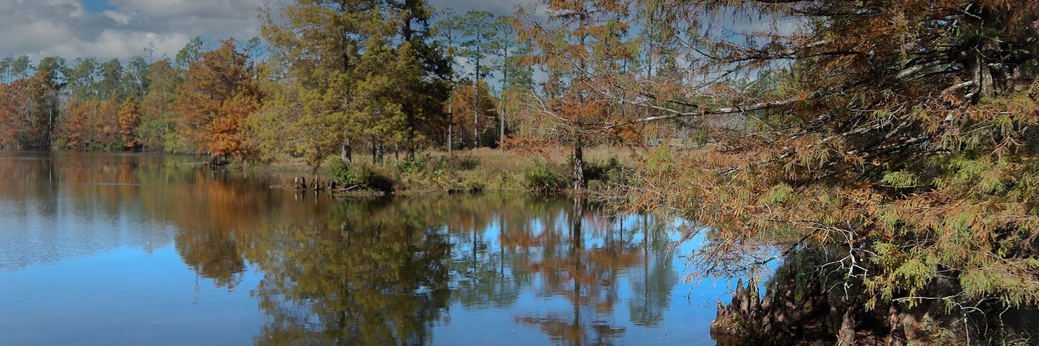 Tax calculator Vernon Parish Assessor