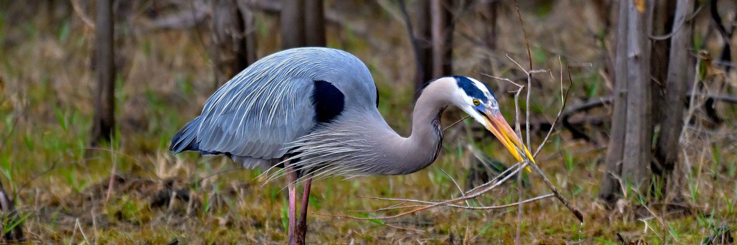 Resources and Links Vernon Parish Assessor
